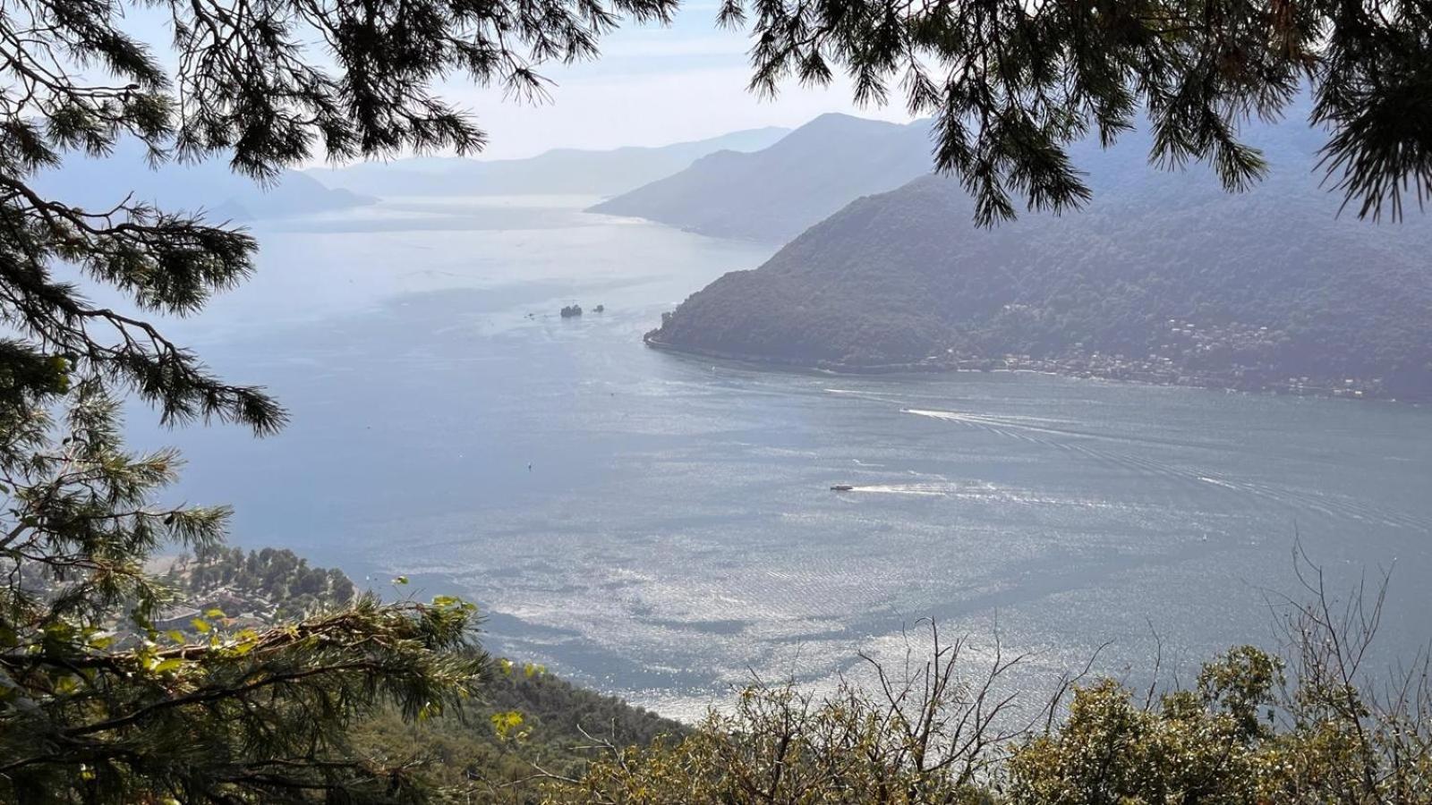 Villa Del Castanar Maccagno Εξωτερικό φωτογραφία