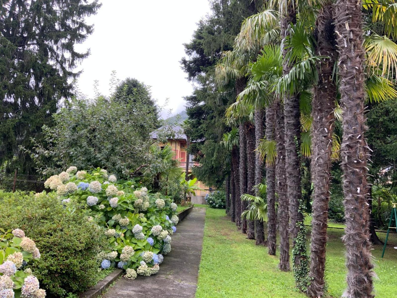 Villa Del Castanar Maccagno Εξωτερικό φωτογραφία