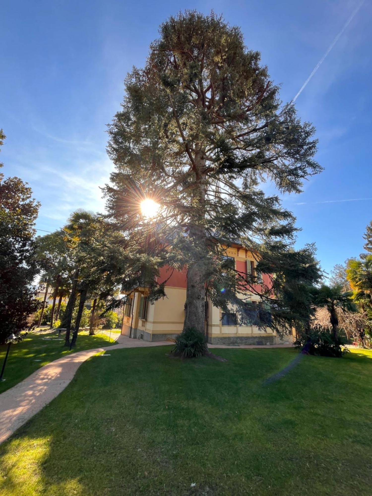 Villa Del Castanar Maccagno Εξωτερικό φωτογραφία